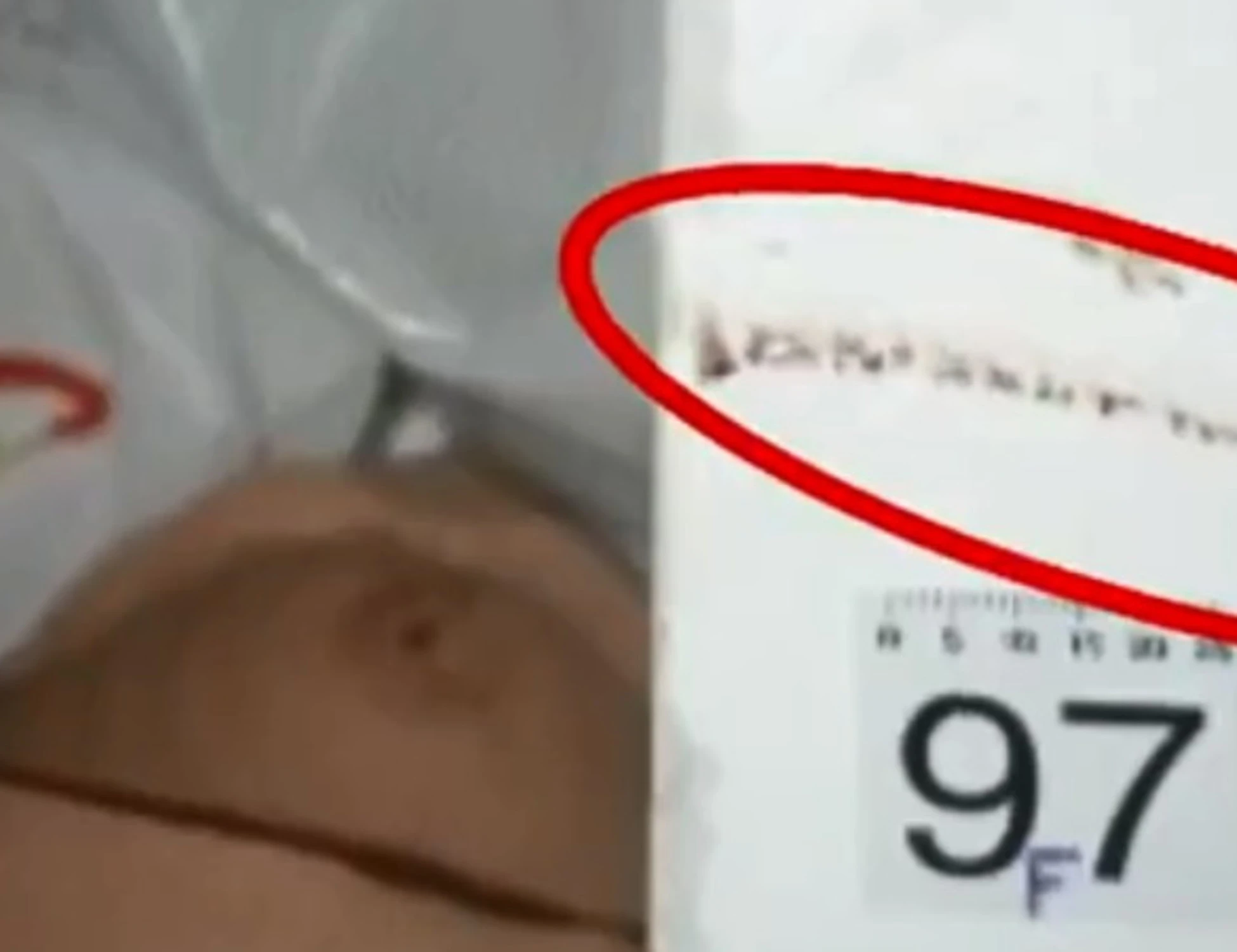 Garlasco, l'ultimo terremoto: "97F, la traccia mai analizzata"