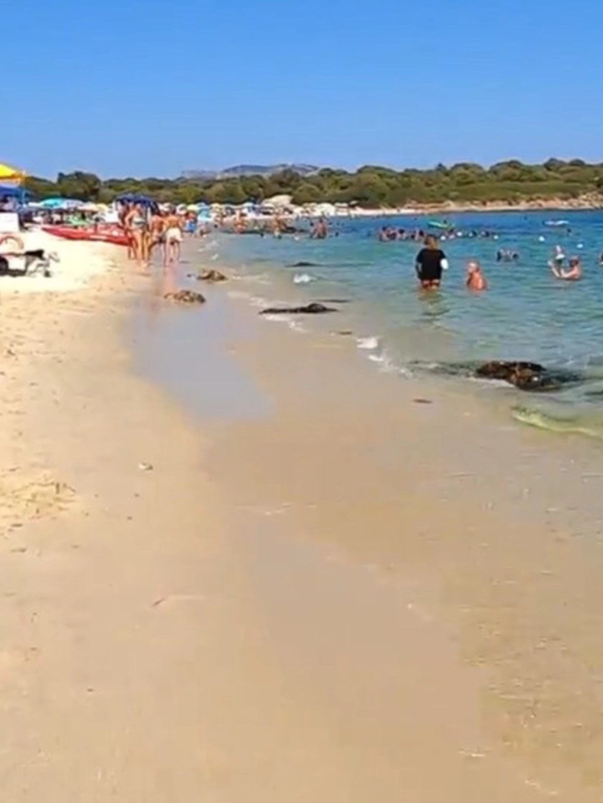 Olbia, "frammenti di carne": orrore in spiaggia, la mossa del pm