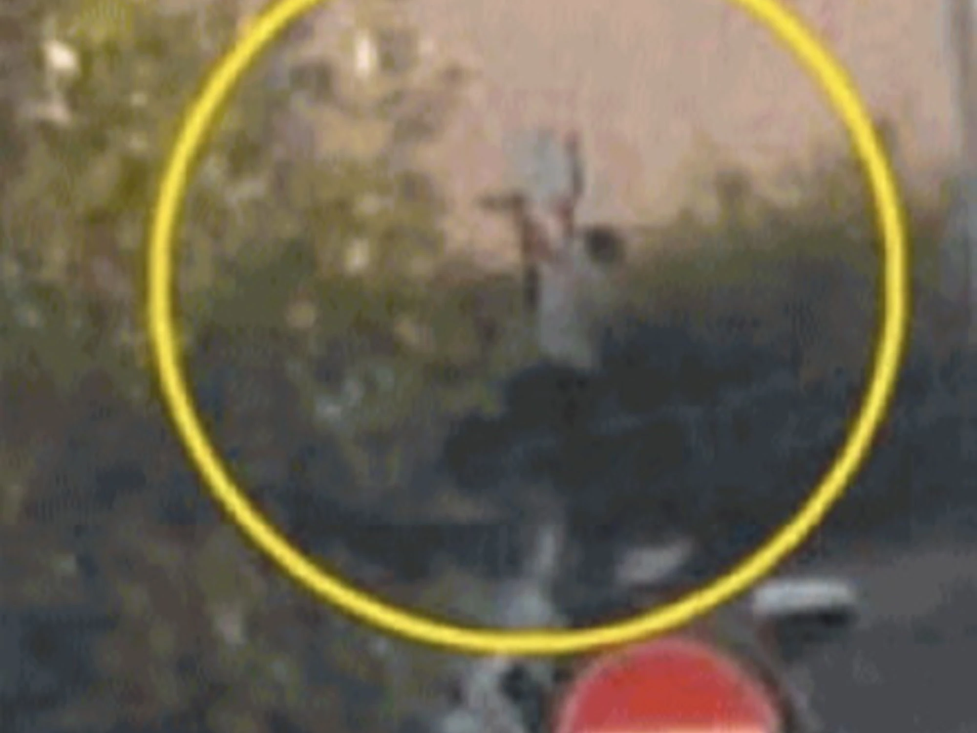 Firenze, accusano i fascisti ma il vandalo è africano