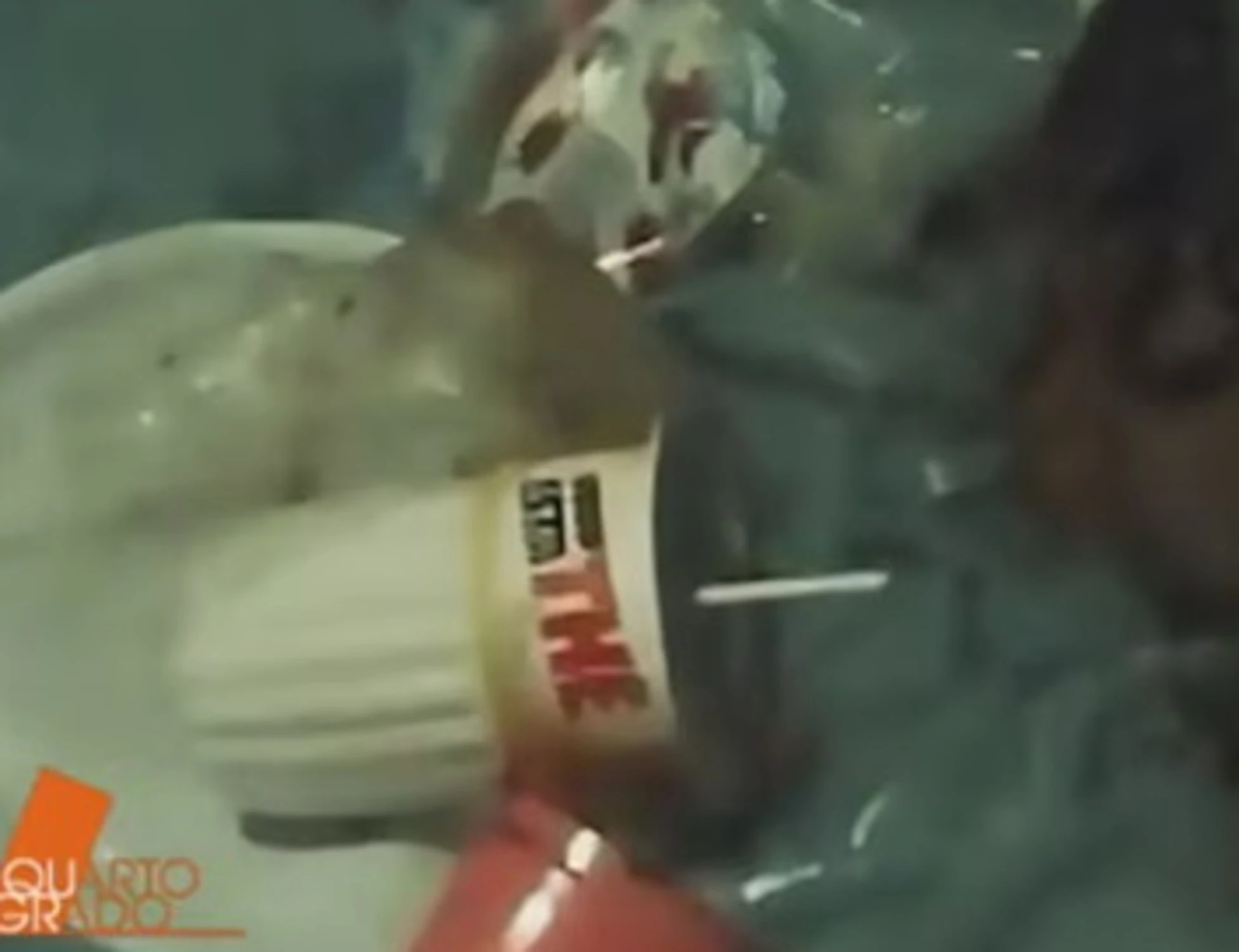 Garlasco, la verità nascosta nella perizia: "Di chi sono le altre tracce"