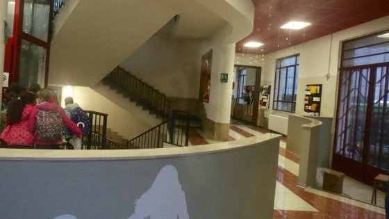 Milano, dichiarata la morte cerebrale del bambino di sei anni caduto dalle scale a scuola