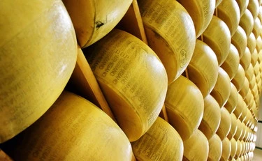 Grana Padano o Parmigiano Reggiano: "Quali sono le differenze", cosa non sapete