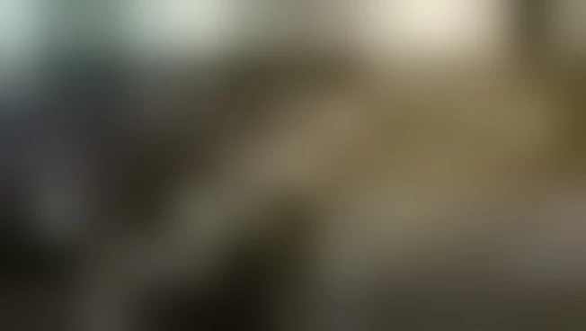https://media.liberoquotidiano.it/ax4eAJfPm5SAq1iUGjV1hMdK2cDs521tqtqwNxT5gfo/width:800/quality:90/aW1hZ2VzLzIwMjUvMDkvMTcvMTczNzU1ODg0LTQyNzE0MzM1LWMwOWEtNGM1YS1iYjQ5LTUzMTc0ZTk0NDVlZS5qcGc.webp