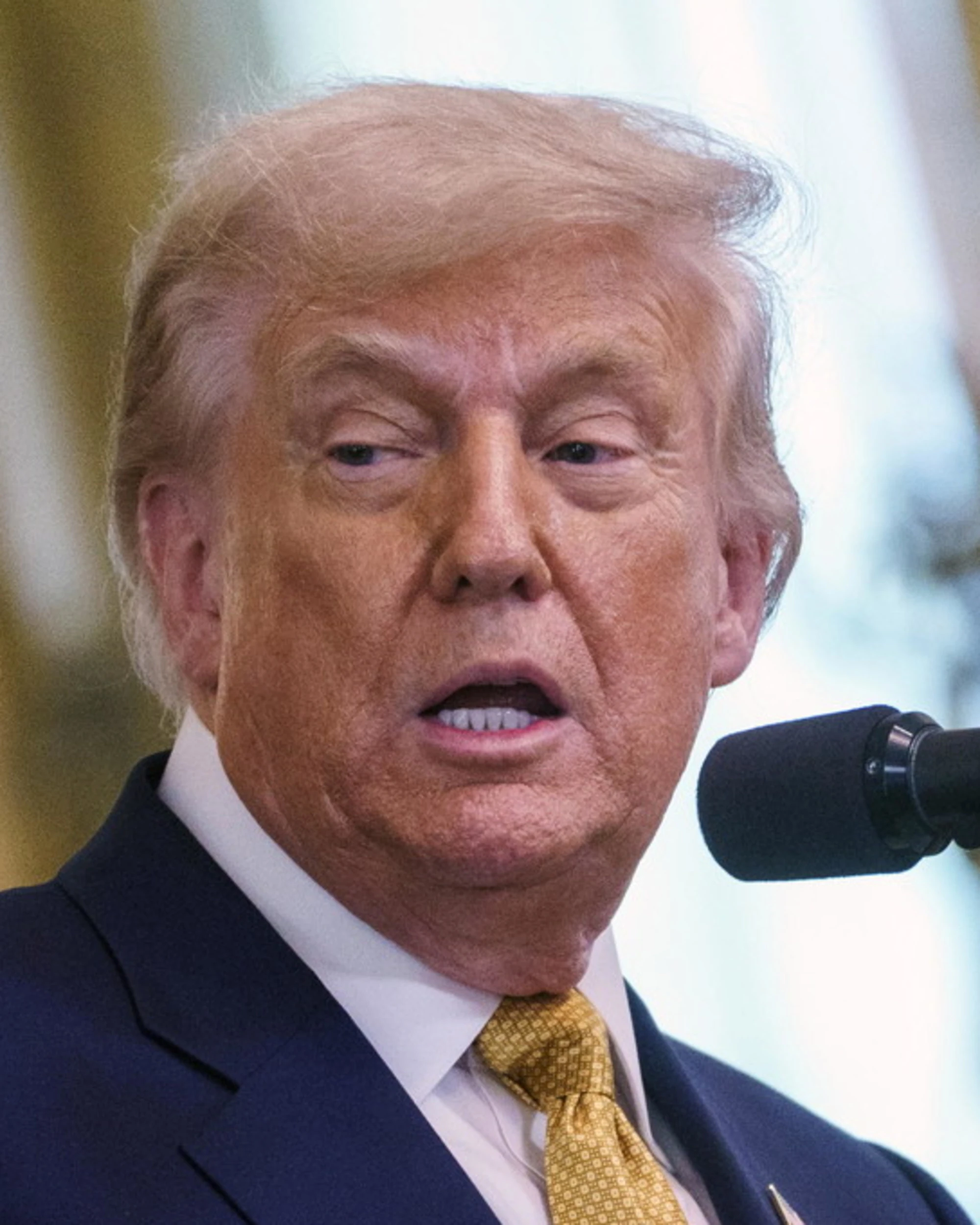 Donald Trump mette a nudo l'Europa di Ventotene