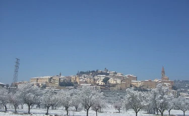 Castiglion Fiorentino, un'ecatombe: la proiezione sui 12 mesi, cosa può accadere