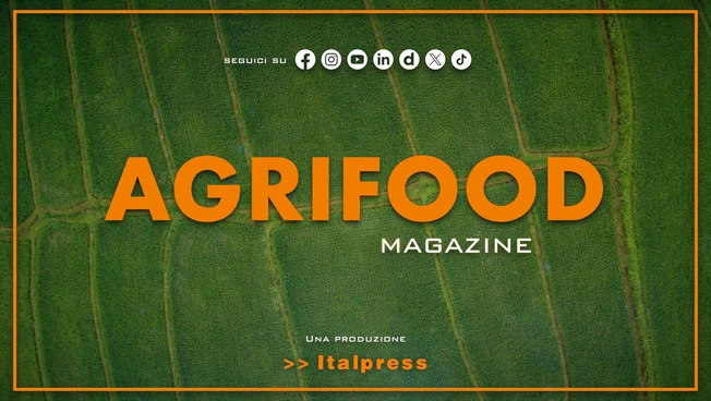 Agrifood Magazine - 12/11/2025