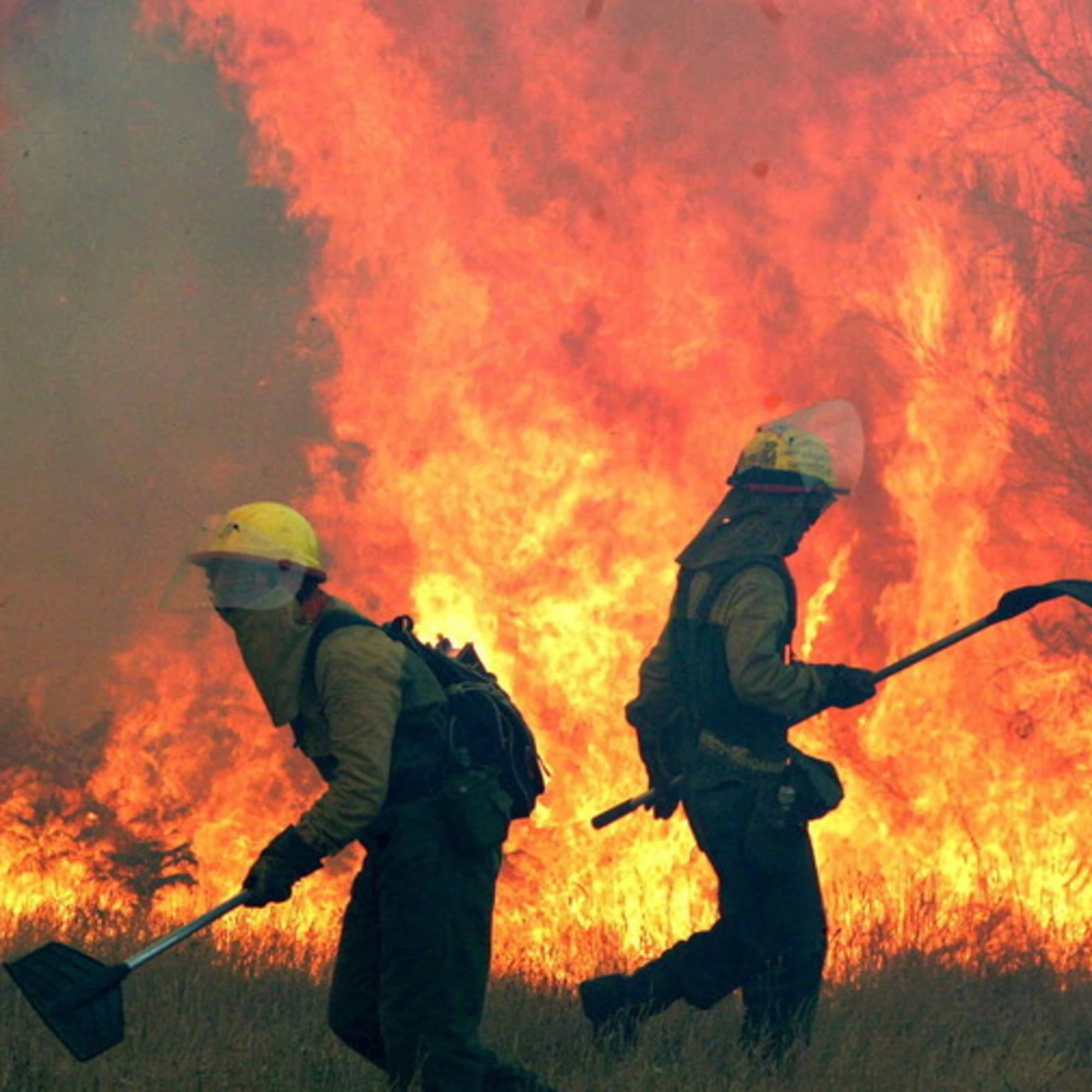 Se la sinistra europea brucia con l'emergenza incendi