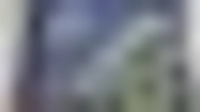 https://media.liberoquotidiano.it/b8T9g26pyKoriKYoYkmeILdCJWMZPHEuKoaBRgl3DfI/width:800/quality:90/aW1hZ2VzLzIwMjUvMTAvMDIvMTA1NzQ0MDIyLTJjZTc5NTNlLTJiNjctNDljZS1hYTNiLWNiMzhiM2I3MzgxNy5qcGc.webp