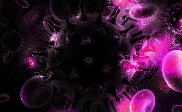 Giappone, "epidemia di influenza": scuole chiuse. Allarme anche in Italia