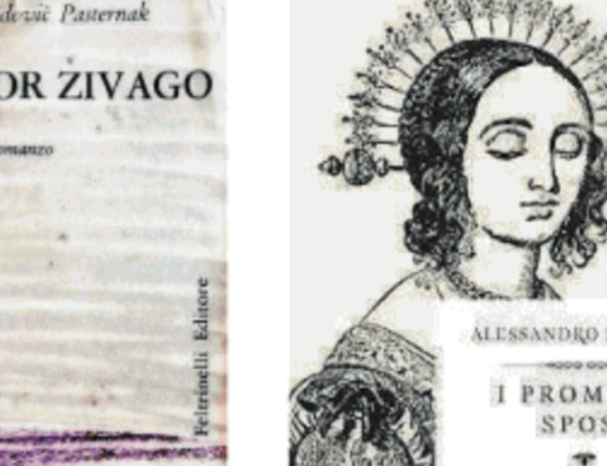 Se inseguendo il destino dei libri si scovano storie da romanzo