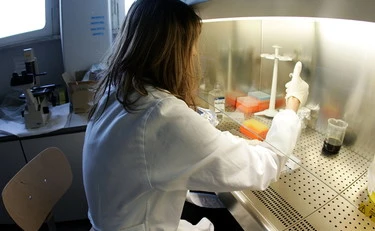 Aviaria, in Lombardia il primo caso per un essere umano in Europa