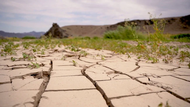 Clima, la siccità minaccia la produzione agricola mondiale