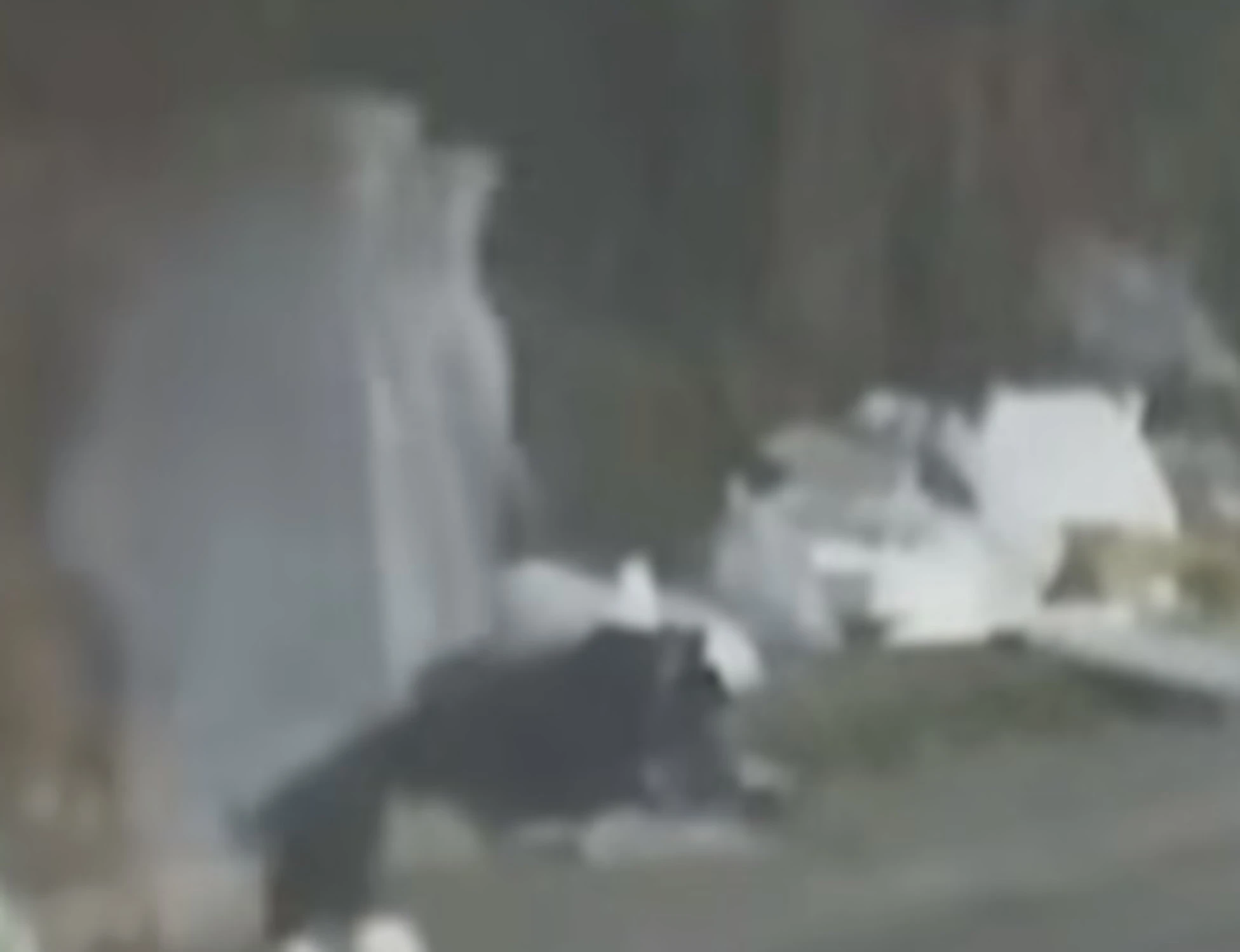 Monreale, perché si veste da fantasma: finisce in disgrazia