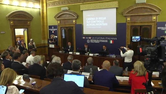 Il Masaf al fianco del settore olivicolo, tolleranza zero contro le frodi
