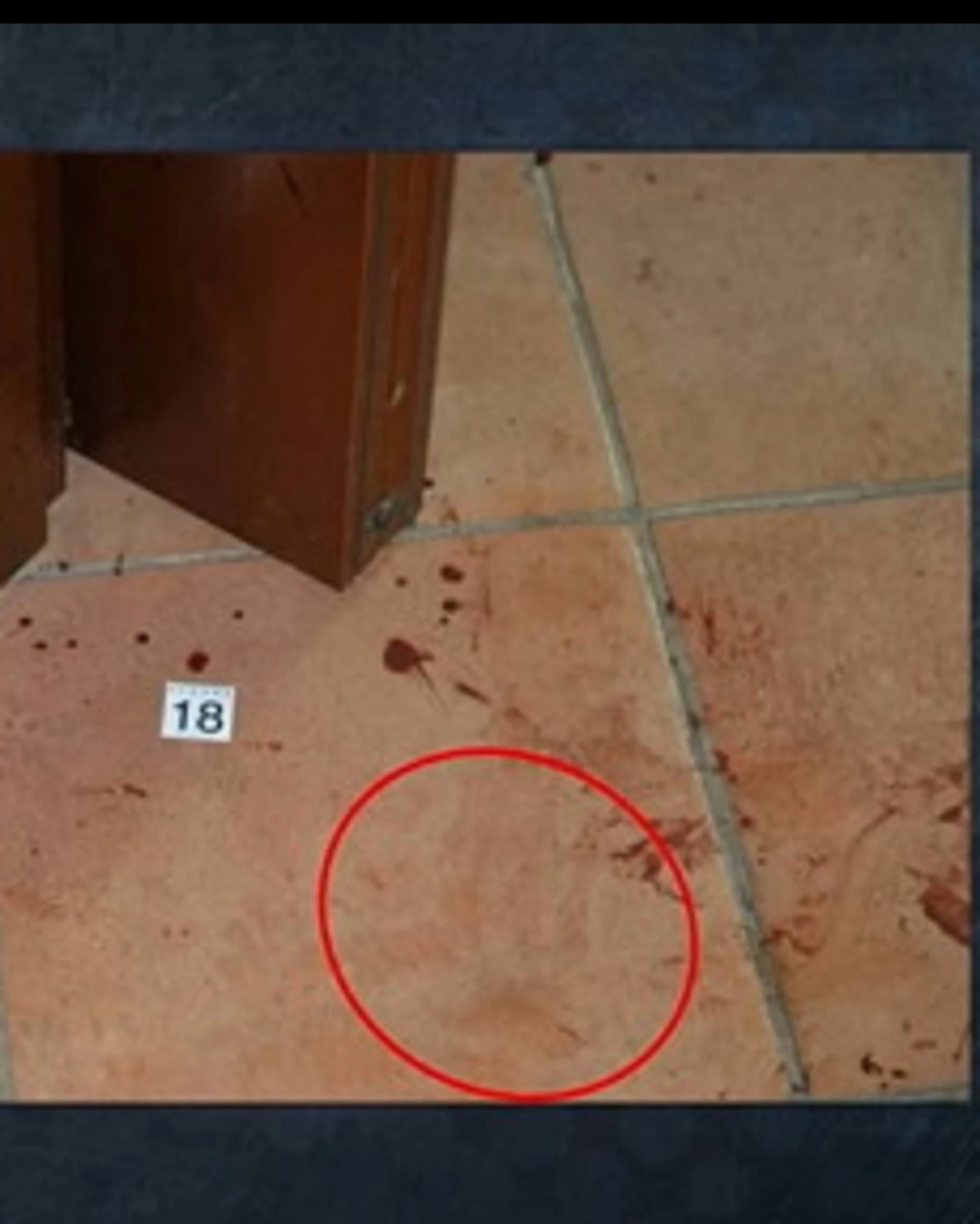 Garlasco, "c'è una foto": spunta l'impronta di un'altra mano