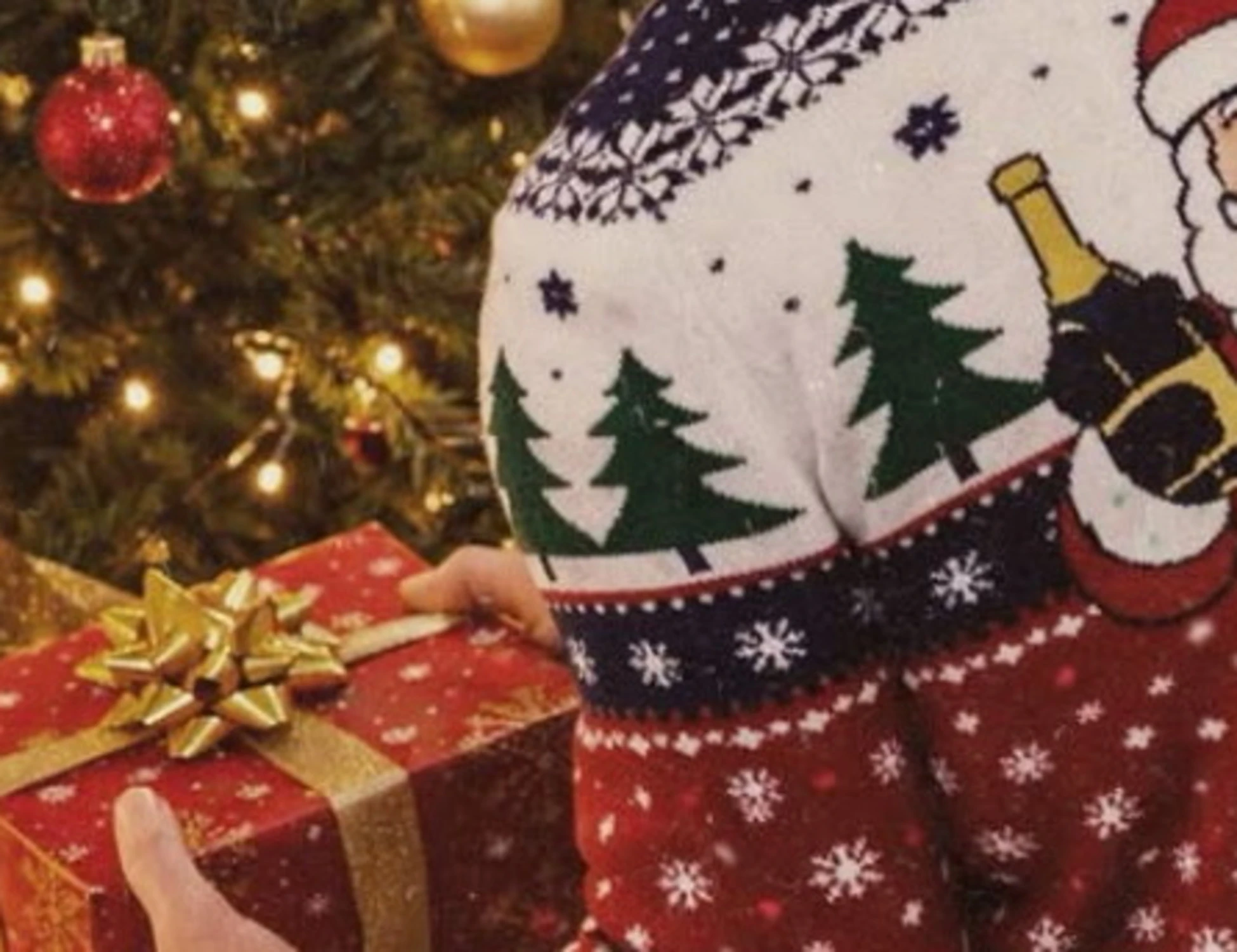 Generale Vannacci, il regalo di Natale che fa impazzire la sinistra