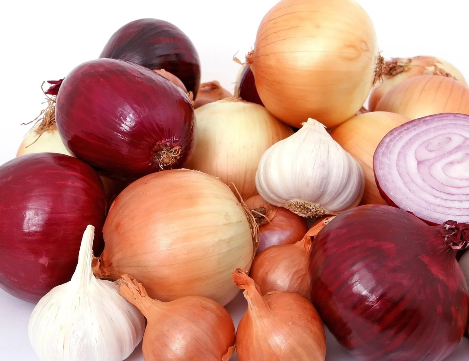 Cipolle, 70 varietà diverse: tutto quello che non sapete