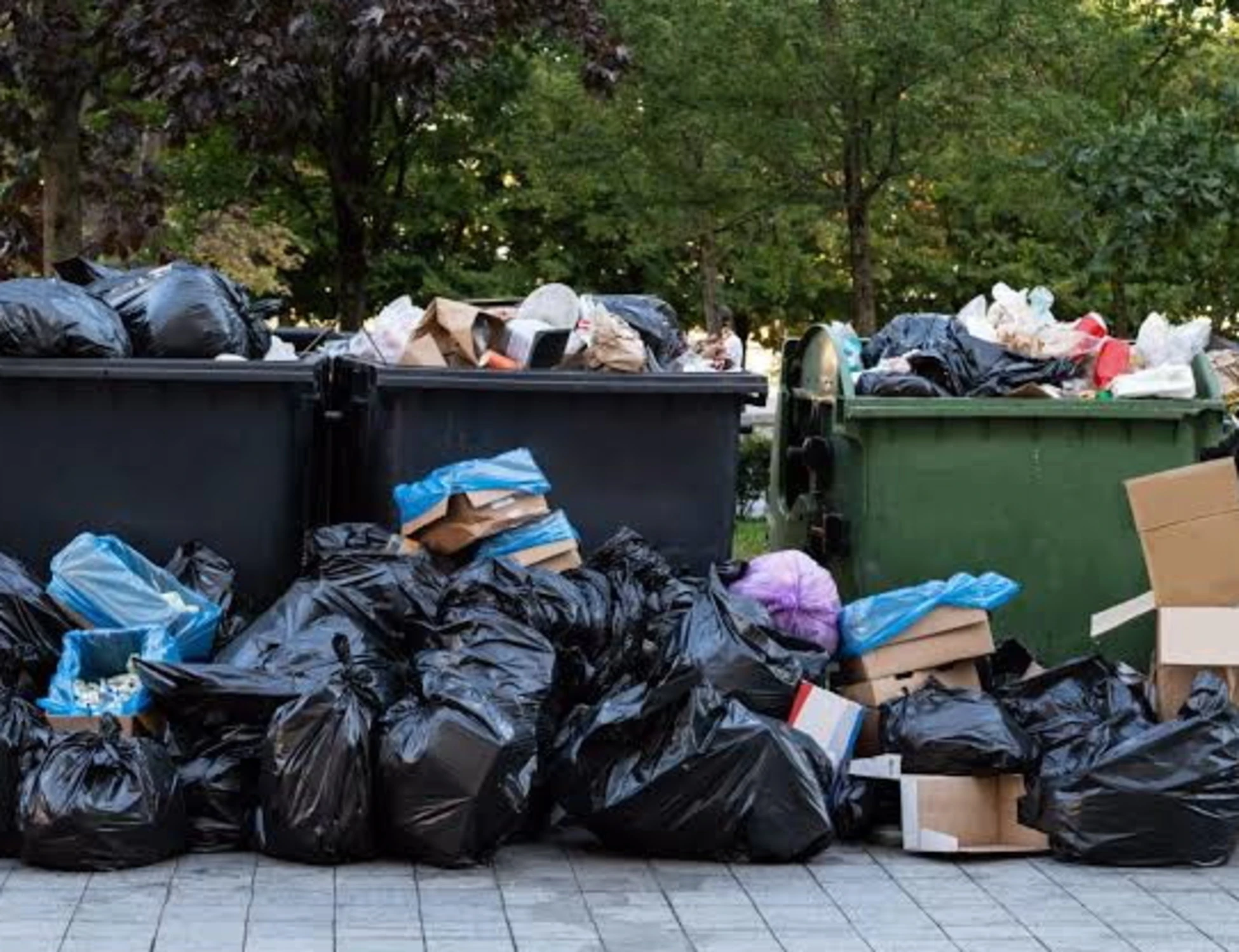 Rifiuti, cassonetti puzzolenti troppo vicini a casa? Come ottenere un risarcimento
