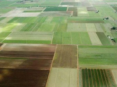 Dal 2010 a oggi 35mila nuove imprese ‘rosa’ in agricoltura