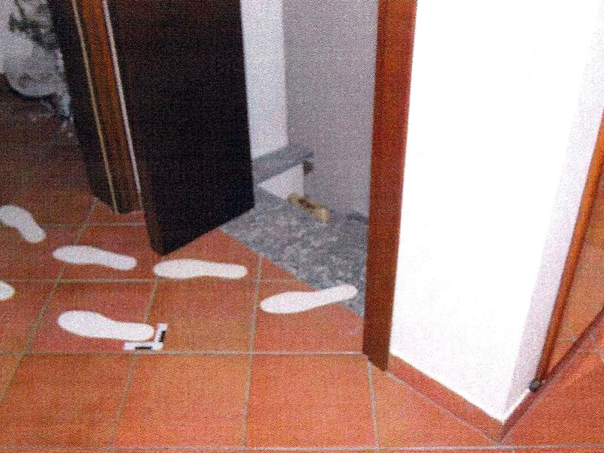 Garlasco, il microonde che può risolvere il mistero dell'omicidio di Chiara Poggi