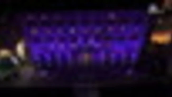 Il Senato illuminato di viola per la Giornata della fibromialgia