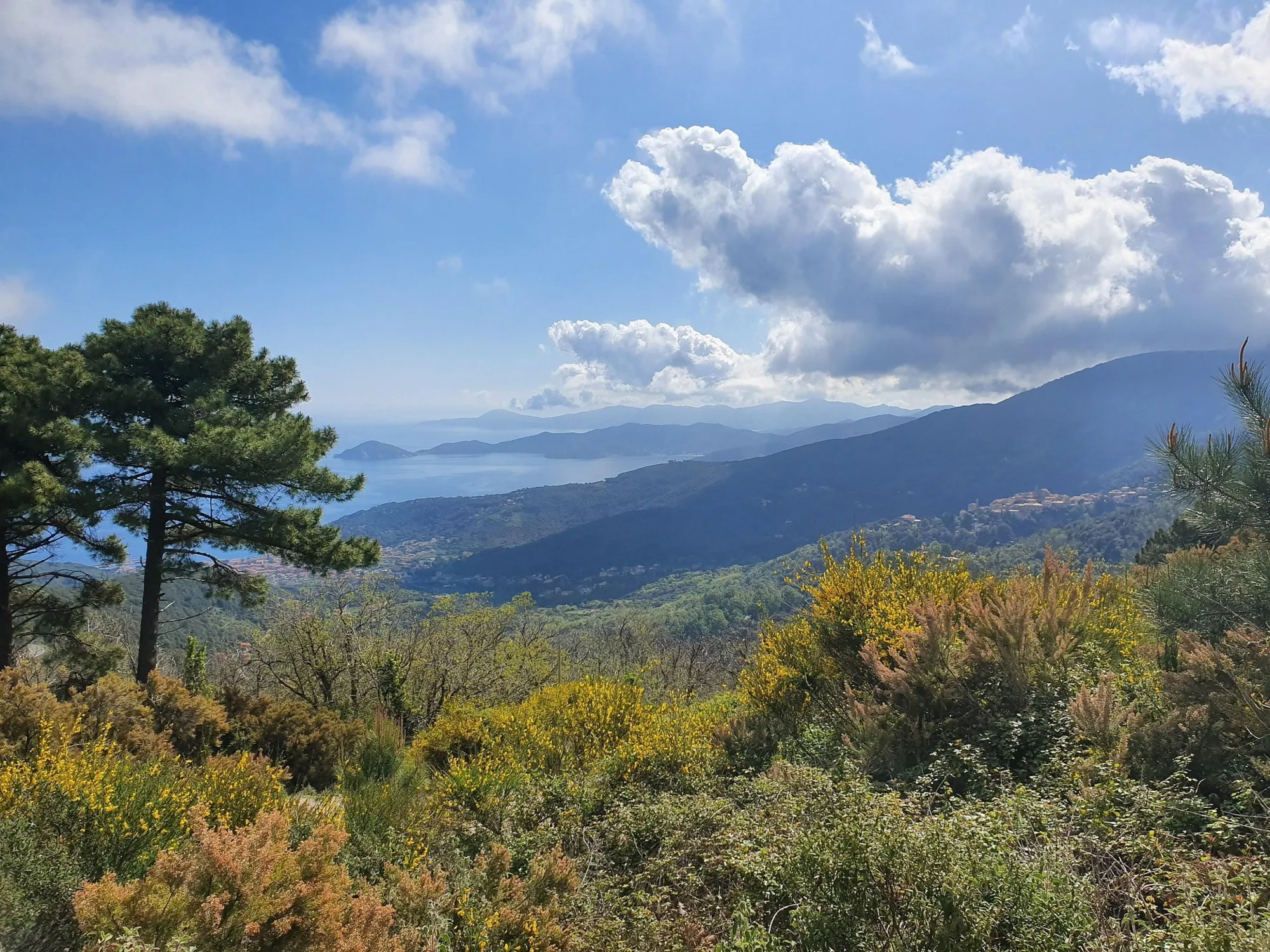 Leggi l'articolo: Mangiano e dormono in un agriturismo per 17 giorni. Ma quando devono pagare...