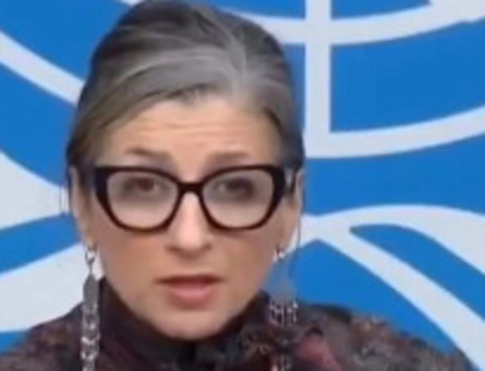 Francesca Albanese, "quali sono le mie fonti?". E risponde così: che figuraccia