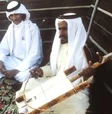 Emirati, schedatura Dna