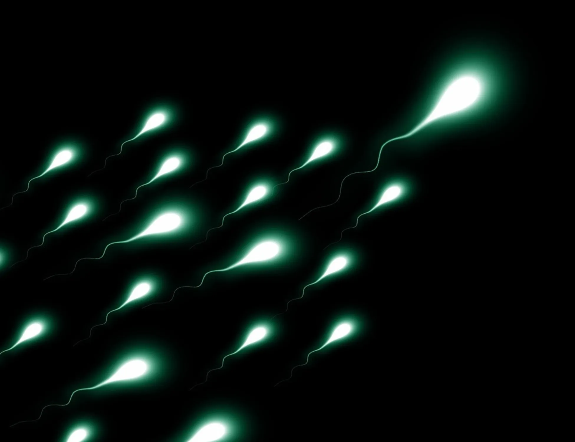 Donatore di sperma malato: 200 bimbi a rischio cancro, alcuni già morti