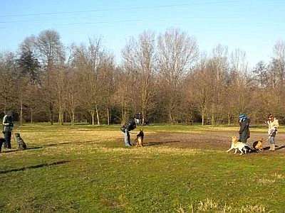Parchi cittadini nei cuori degli italiani, ma bocciati per la raccolta differenziata