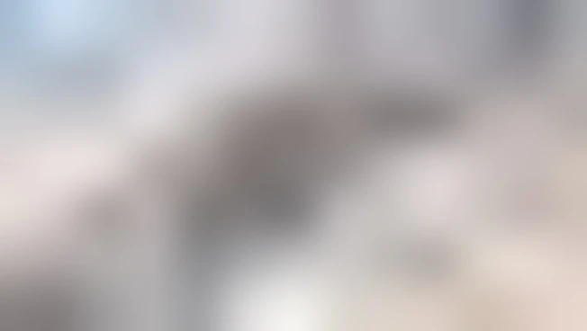 https://media.liberoquotidiano.it/bu3pqzl_3lFL3rVOo_TgvDahl7imxG31LNek9WQKhDQ/width:800/quality:90/aW1hZ2VzLzIwMjUvMTAvMTEvMDkxOTIyODM0LTI1MGYzMDJmLTI5Y2YtNGM2Ni05MjdlLTI5ZDBhM2QxMDlkMy5qcGc.webp