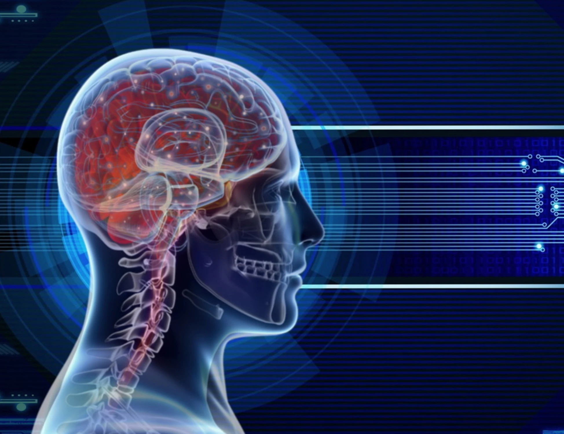 Cervello, i movimenti indotti dall'addome alla materia grigia