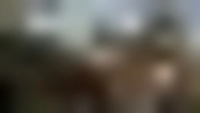 https://media.liberoquotidiano.it/c9dU-nhsFu6XmLeIC0cHDRiFuJ6CFr39XWaGOUXlqkA/width:800/quality:90/aW1hZ2VzLzIwMjYvMDgvMDEvMTAzMTI2MjQ5LThkODQ2NzFmLTFhNTUtNDU3Zi1hNTRkLTE2M2JlOTdiZGFlNS5qcGc.webp