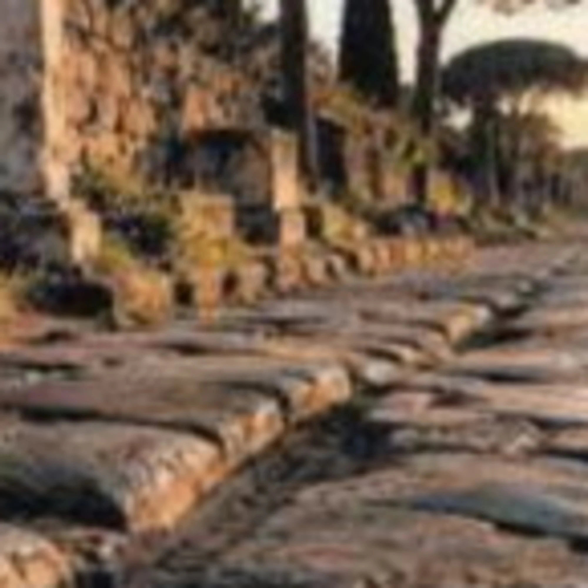 Non tutte le strade portano a Roma: lo studio danese che sfata il mito