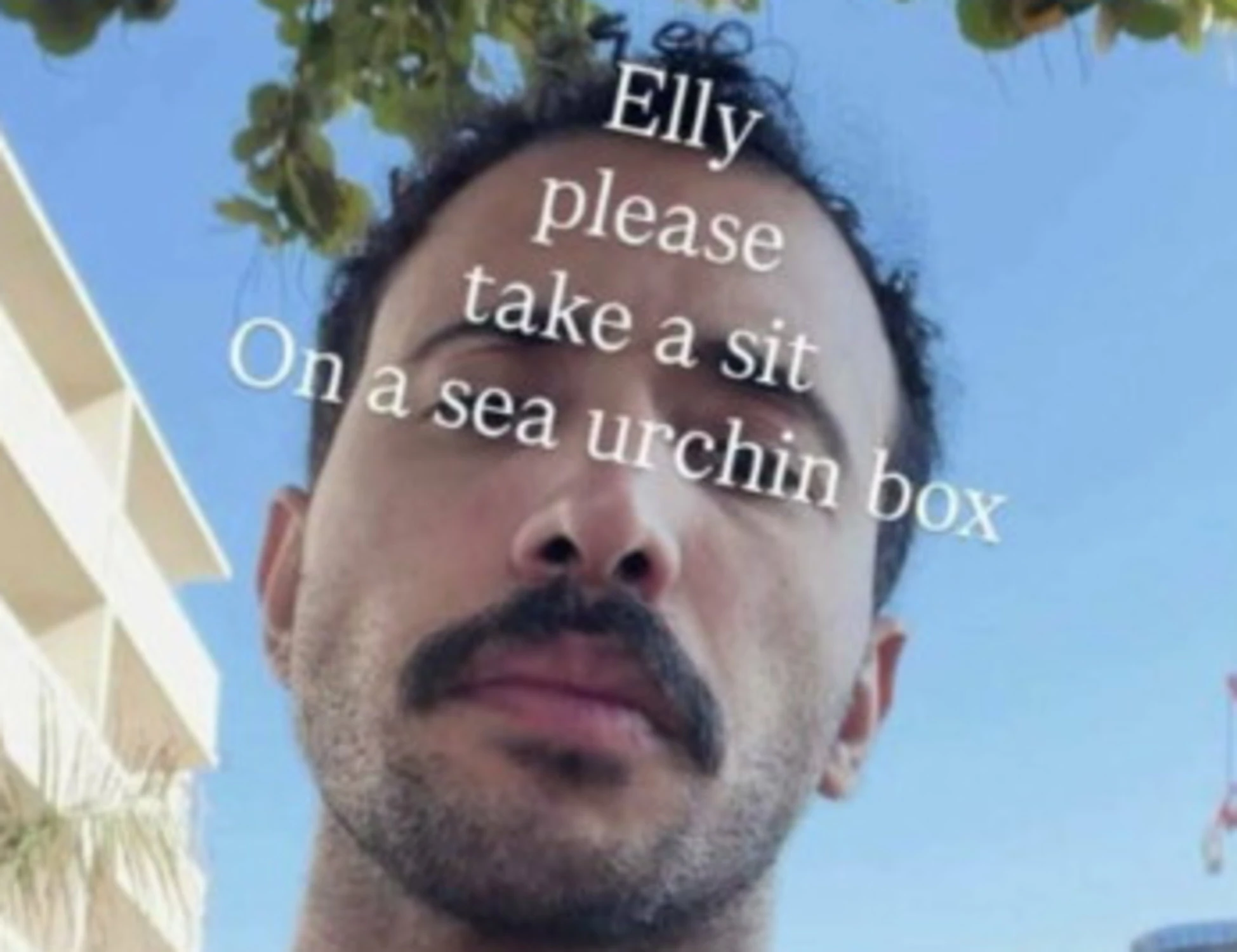 Elly Schlein, "schiaccia i ricci di mare con il c***o": il clamoroso affondo di Natuzzi Junior