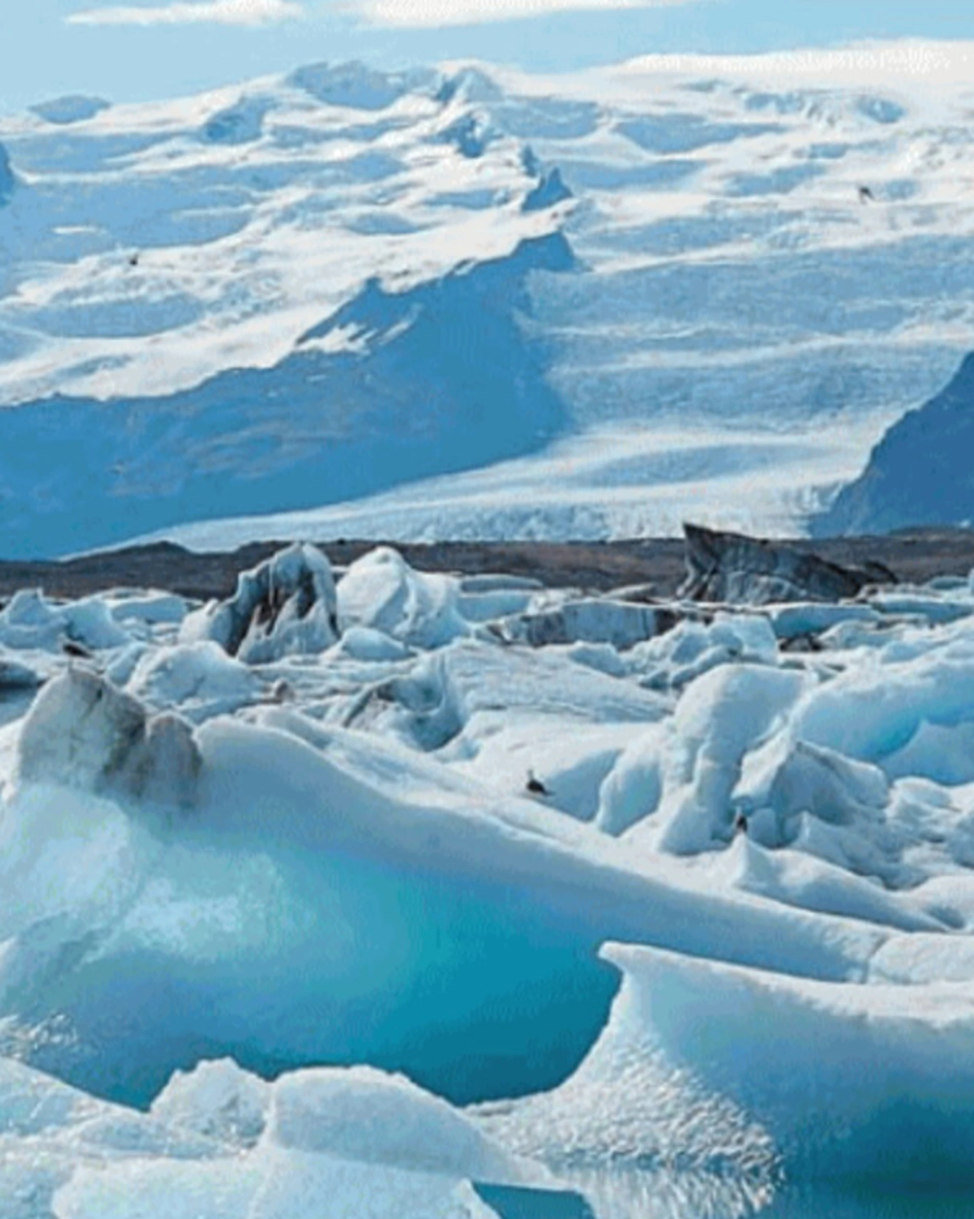 Uno studio zittisce i catastrofisti: da 20 anni l'Artico non si scioglie
