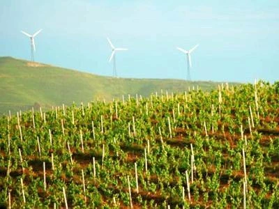 Parchi eolici in Basilicata mettono il paesaggio a rischio, la denuncia dell'Inu