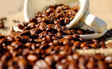 Il caffè rischia di sparire, la corsa della scienza per salvare l'espresso