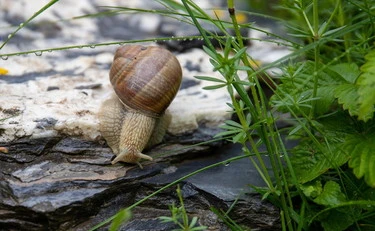 Viviamo di eccessi, ma la rivoluzione è sapersi fermare