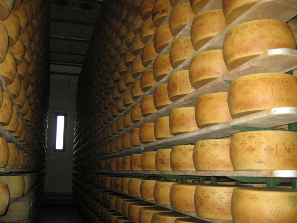 Parmigiano Reggiano e Grana Padano, mai così tanti falsi: ecco che cosa finisce in tavola