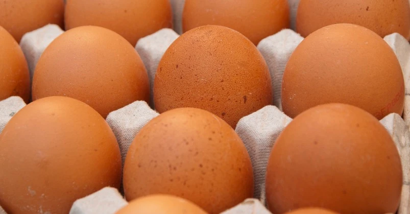 Uova contaminate, allarme: i casi si moltiplicano. Altro marchio ritirato: quali evitare, cosa si rischia