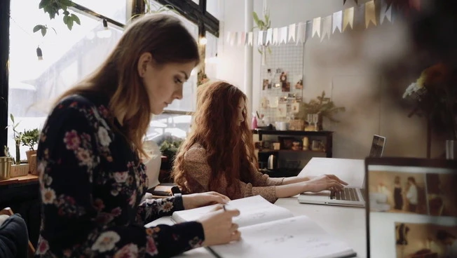 Nel 2025 aperte in Italia 500 mila nuove partite Iva