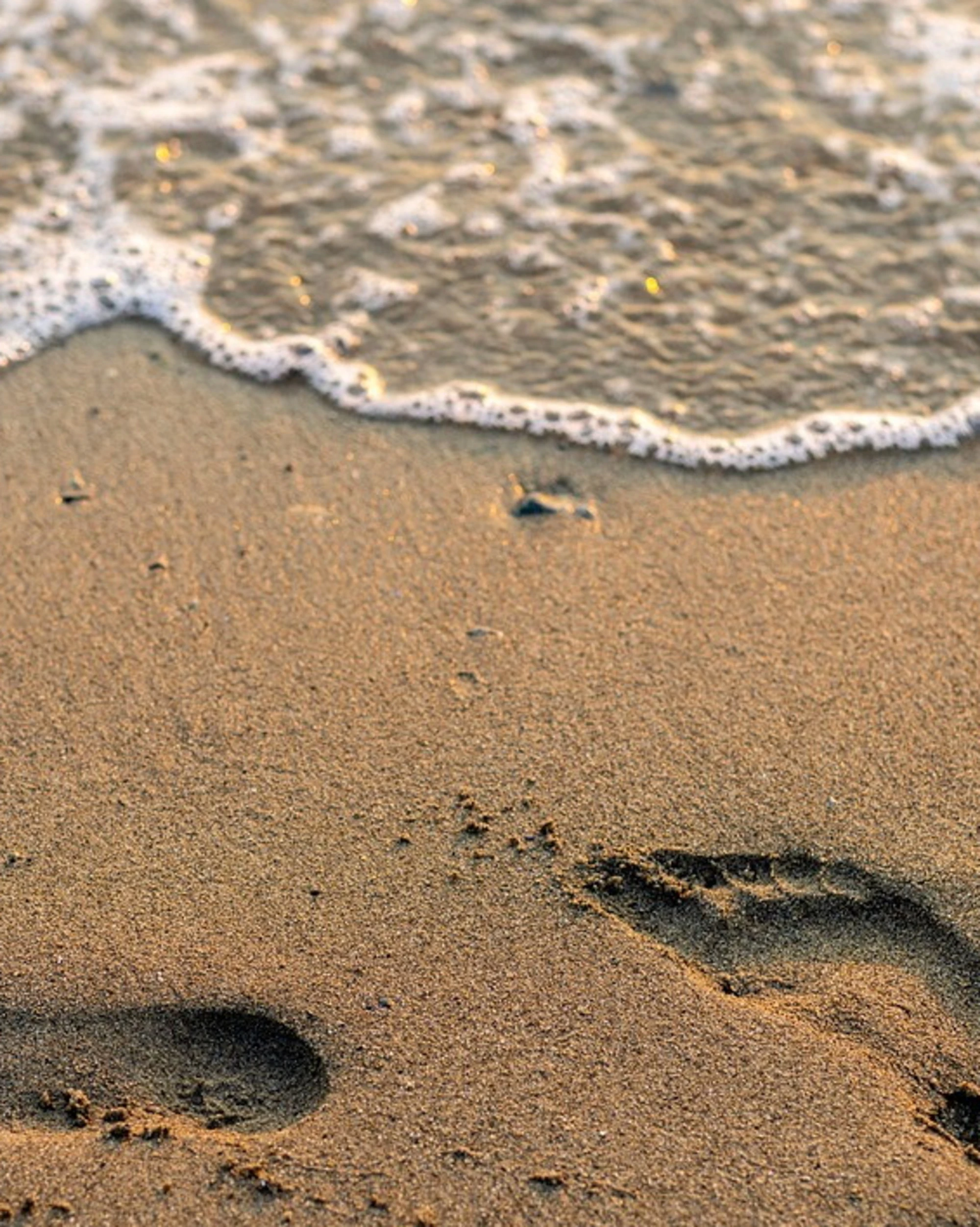 Marina di Grosseto, "mi hanno violentato in acqua": urla-choc in spiaggia