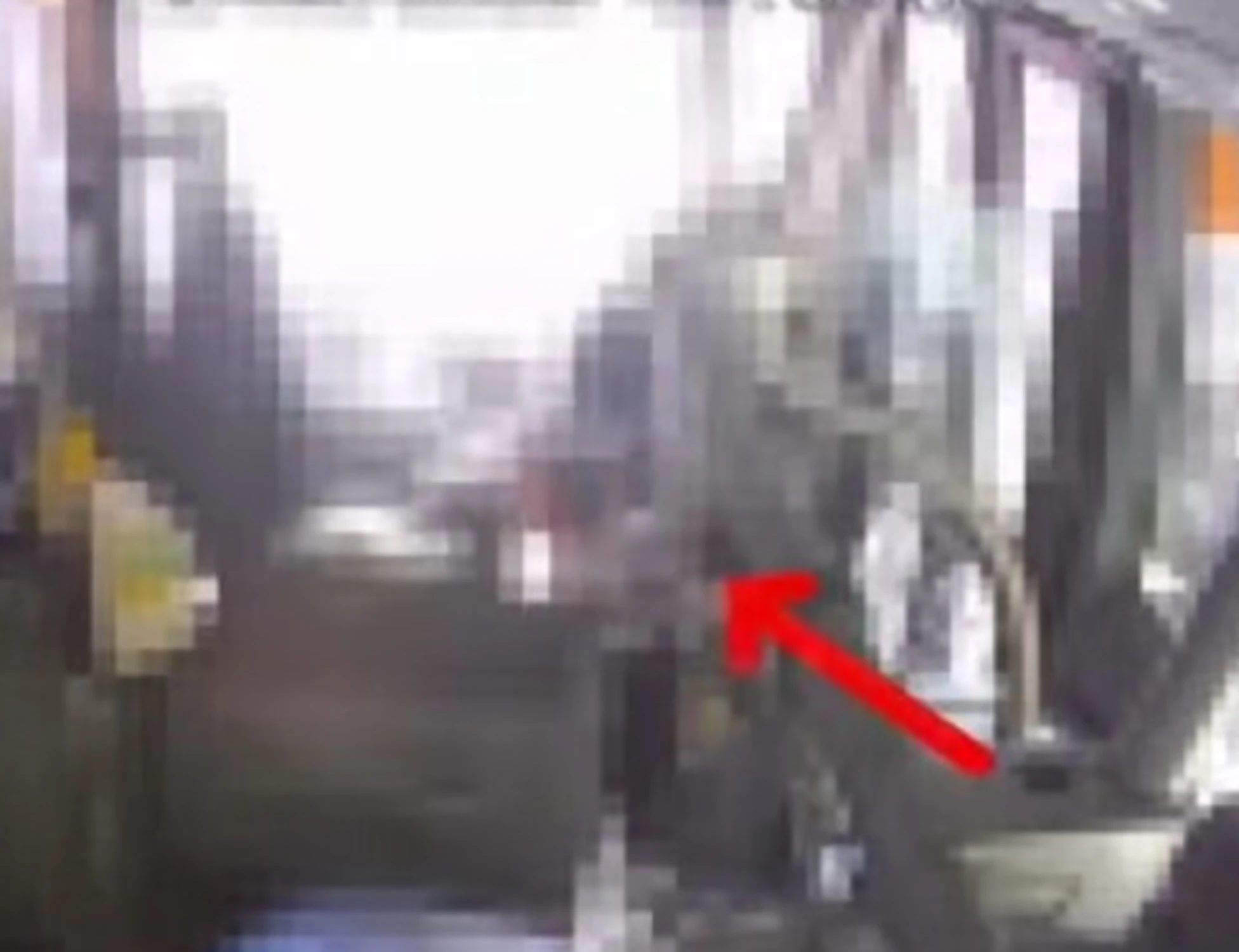Bologna, orecchio strappato a morsi all'autista del bus: il video, ecco chi è l'aggressore