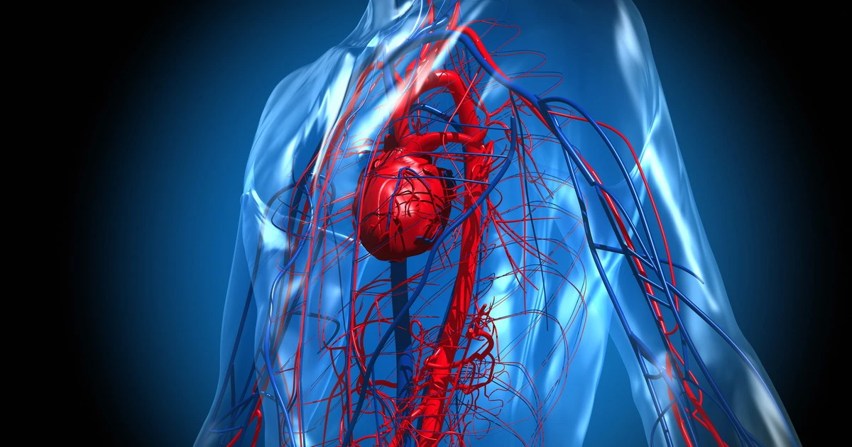 Cuore malato, l'errore da non commettere al cenone di Capodanno: cosa può ucciderti
