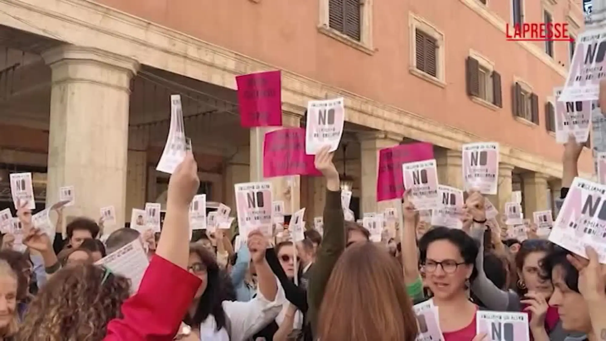 Ddl violenza donne, bagarre femminista davanti al Senato