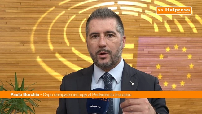 Energia, Borchia “L'Europa non ha lavorato su alternative praticabili"
