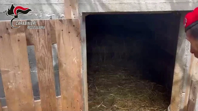 Trovato un bunker sotterraneo con serra hi-tech, quattro arresti nel Reggino