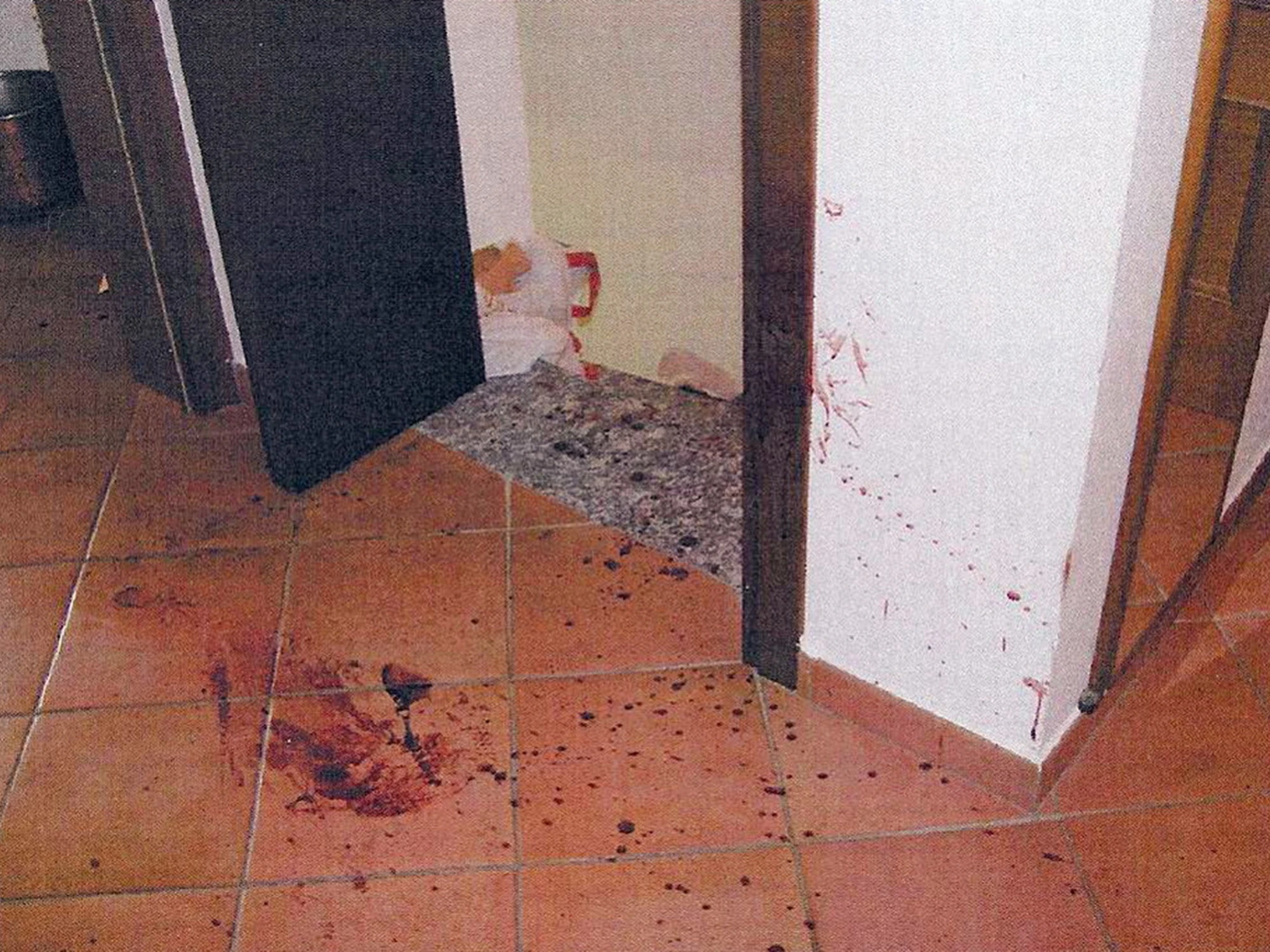 Flavius Savu: "Dove vanno cercati i colpevoli di Garlasco"