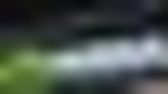 https://media.liberoquotidiano.it/cko-nSkMvY3PLWq-1WWmrrOHRKVpb-oEp-evq_1F0vI/width:800/quality:90/aW1hZ2VzLzIwMjUvMDkvMjMvMTUzODIzNjMwLWY4NmMxZWQ3LTlmMzEtNDRjZC05NjdmLWU5Y2NjNDljNTk1Mi5qcGc.webp